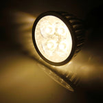 4 LED, Risparmio energetico, AC/DC 12V, White Light, Warm White Light