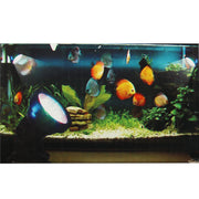 Lampada LED colorata impermeabile per acquario 1-1,5 m