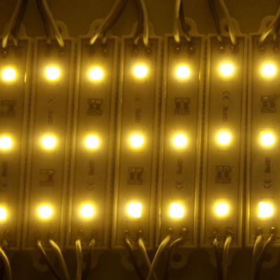 20 LED SMD 5050 a 3 LED a luce bianca calda, CC 12V