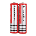 2 Batterie ricaricabili UltraFire 18650 3000mAh 3.7V