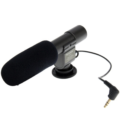 Mini microfono stereo per videocamera DV