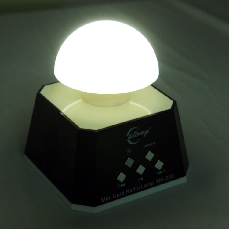 CT-0019 Altoparlante con luci LED multiple con radio FM, supporto scheda TF