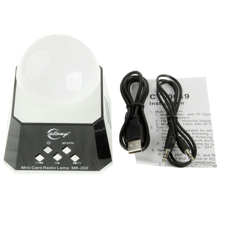 CT-0019 Altoparlante con luci LED multiple con radio FM, supporto scheda TF