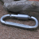 Moschettone con fibbia da campeggio a forma di D in lega di alluminio multifunzionale di alta qualità da 2 pezzi, 2PCS Aluminum Alloy