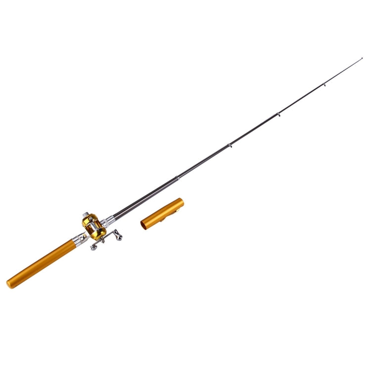 Canna da pesca stile penna, Circle Pulley Gold, Flywheel Silver, Flywheel Gold
