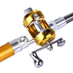 Canna da pesca stile penna, Circle Pulley Gold, Flywheel Silver, Flywheel Gold