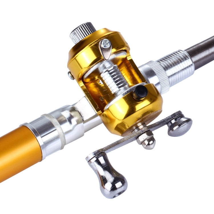 Canna da pesca stile penna, Circle Pulley Gold, Flywheel Silver, Flywheel Gold