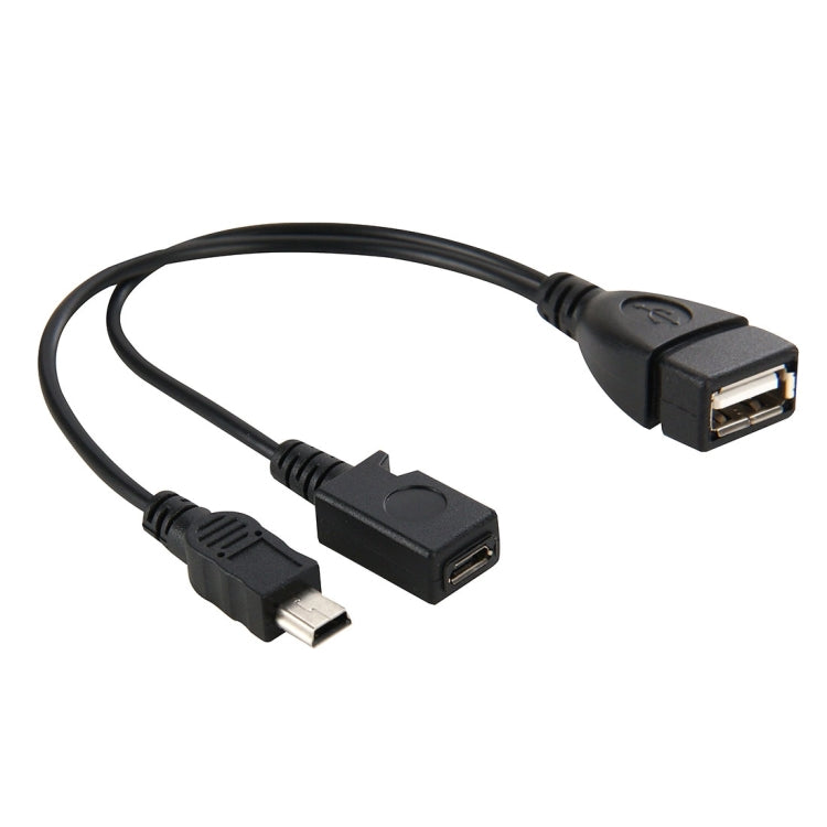 Cavo USB 2.0 femmina a Mini USB AM + Micro 5 pin AF, lunghezza: 20 cm, Mini USB + Micro AF, 20cm