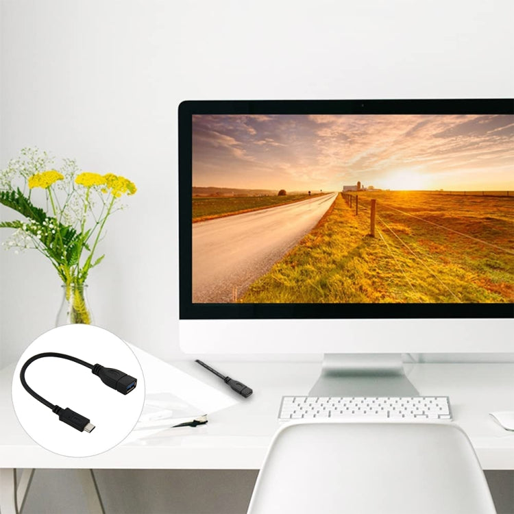 Cavo adattatore USB-C 3.1 maschio a USB 3.0 femmina 22 cm