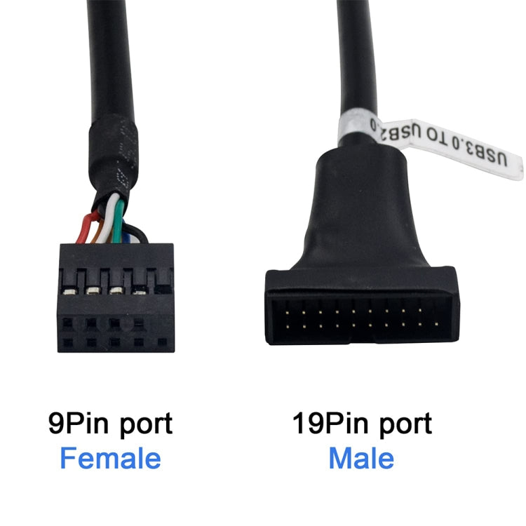 Cavo adattatore USB 2.0 da 9 pin per scheda madre femmina a USB 3.0 da 19 pin per alloggiamento maschio, lunghezza: 15 cm, 9 Pin Female to 19 Pin Male