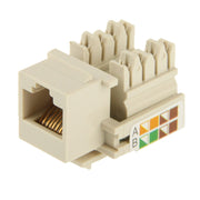 Adattatore connettore modulo jack RJ45 Cat5E di rete (buona qualità)
