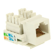 Adattatore connettore modulo jack RJ45 Cat5E di rete (buona qualità)