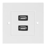 Piastra a muro con doppia presa USB 2.0 bianca 11x7 cm
