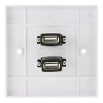 Piastra a muro con doppia presa USB 2.0 bianca 11x7 cm
