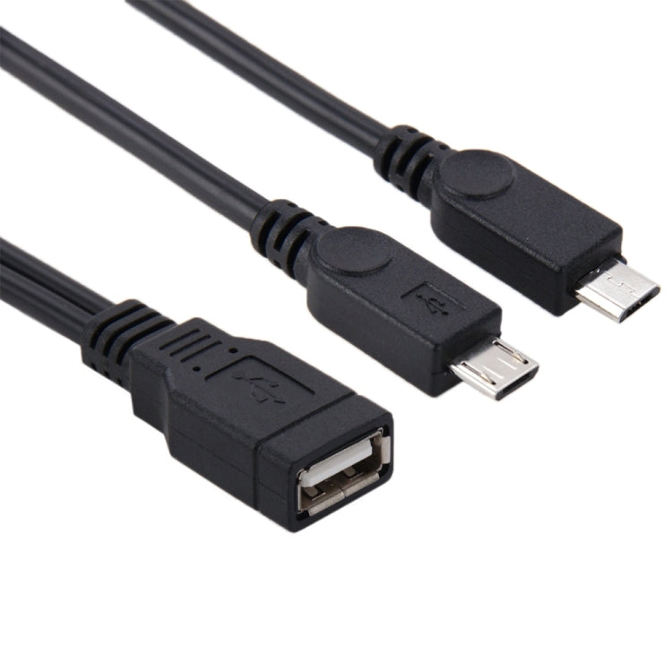 Cavo USB 2.0 femmina a 2 micro USB maschio, lunghezza: circa 30 cm, USB 2.0 AF to 2 Micro USB
