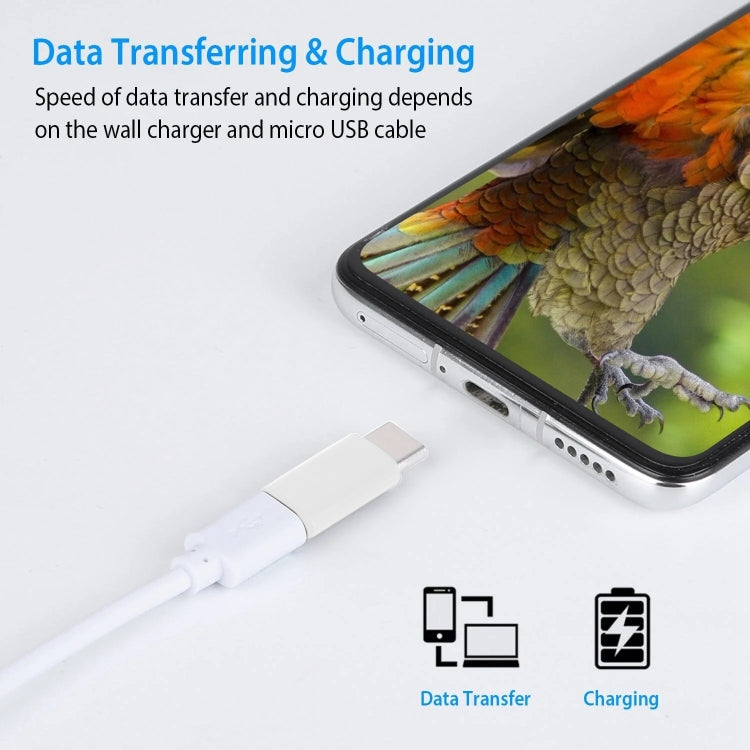 Adattatore USB-C 3.1 maschio a Micro USB femmina 2,5 cm