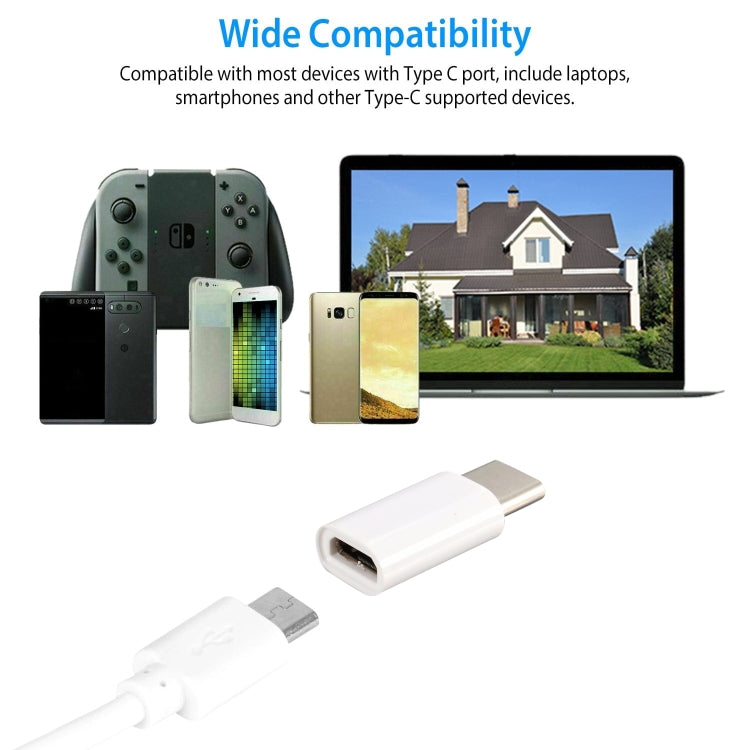 Adattatore USB-C 3.1 maschio a Micro USB femmina 2,5 cm