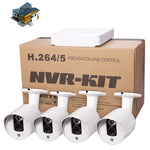 Kit NVR 4 canali 720P con telecamera IP 1.0 Mega Pixel