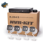Kit NVR 4 canali con telecamere IP 1MP e visione notturna IR 20m