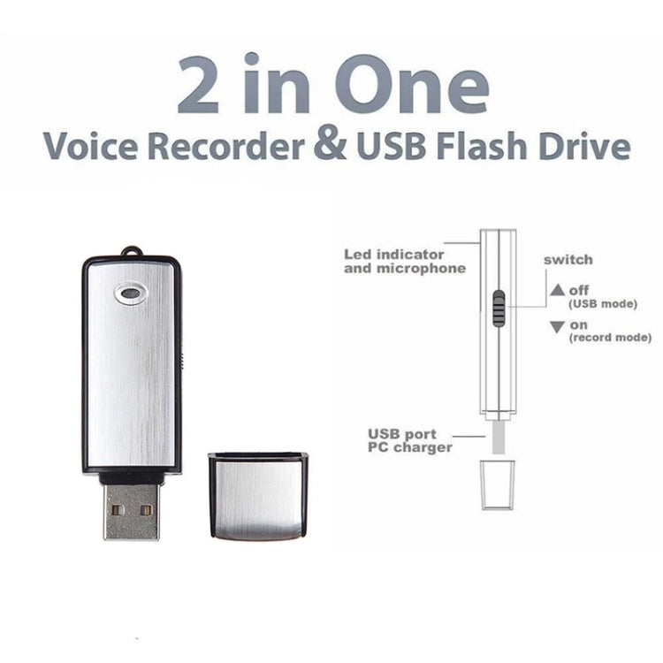 Registratore vocale USB con memoria 8 GB