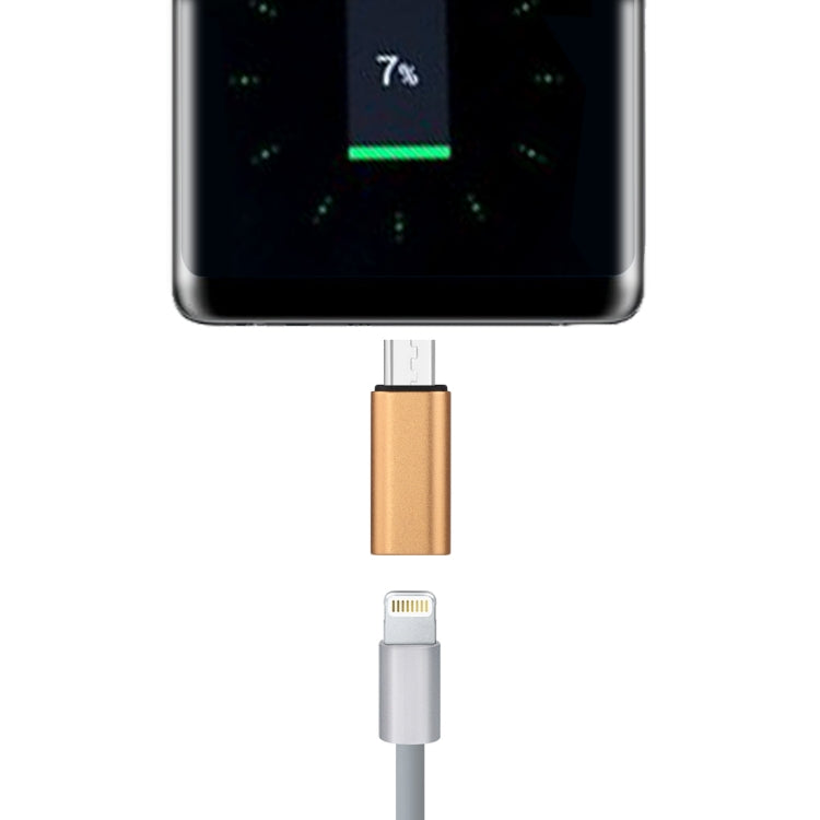 Adattatore 8 pin femmina a USB-C maschio per dispositivi Apple