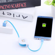 Cavo di ricarica retrattile per sincronizzazione dati da USB-C / Type-C a USB da 1 m 2A 110 fili in rame