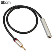 Cavo adattatore audio REXLIS TC128MF da 3,5 mm maschio a 6,5 mm femmina, lunghezza: 60 cm