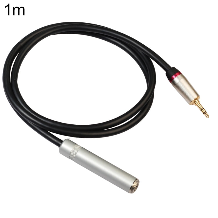 Cavo adattatore audio 3,5 mm maschio a 6,5 mm femmina 1 m