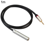 Cavo adattatore audio REXLIS TC128MF da 3,5 mm maschio a 6,5 mm femmina, lunghezza: 1 m