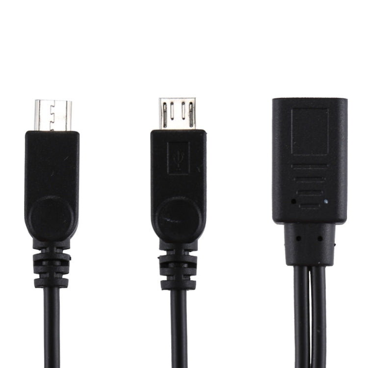 Cavo adattatore USB-C femmina a 2 Micro USB maschio 30 cm