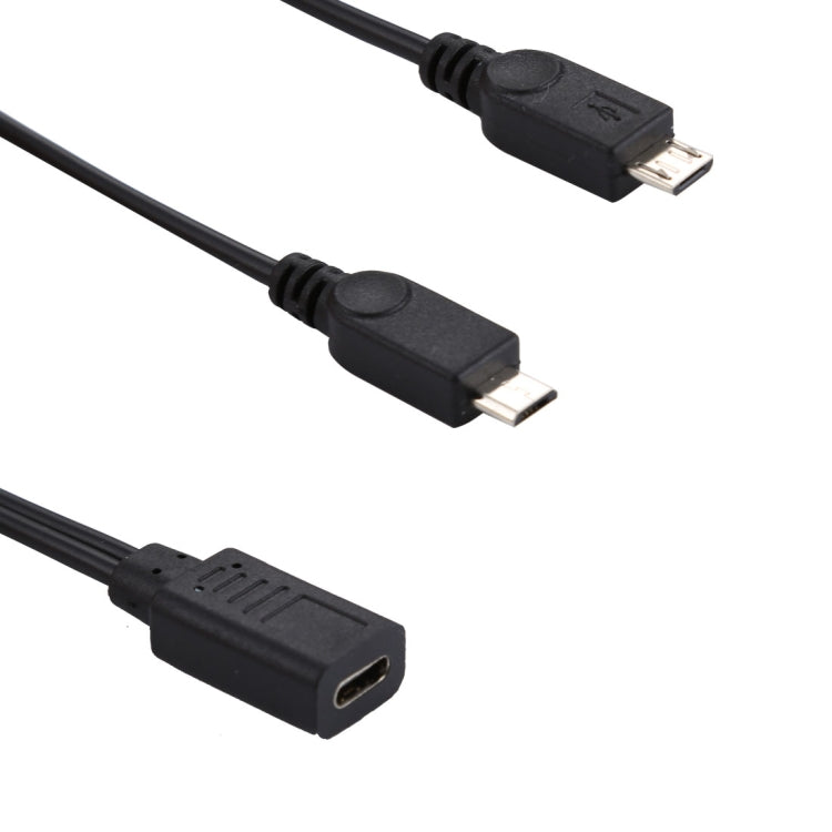 Cavo adattatore USB-C femmina a 2 Micro USB maschio 30 cm
