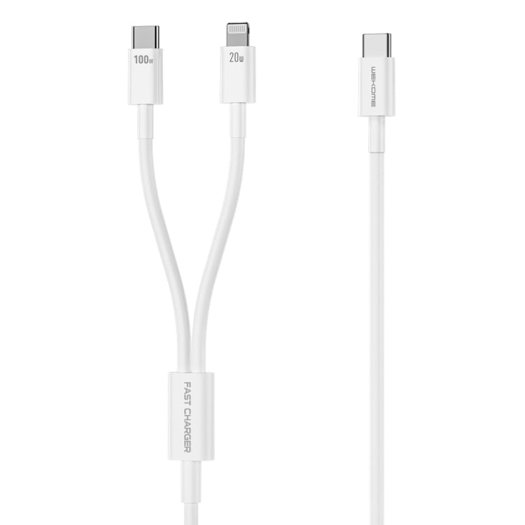 WK WDC-176 Cavo dati di ricarica rapida multifunzionale 2 in 1 da USB-C/Type-C a USB-C/Type-C da 100 W, lunghezza: 1,2 m, WK