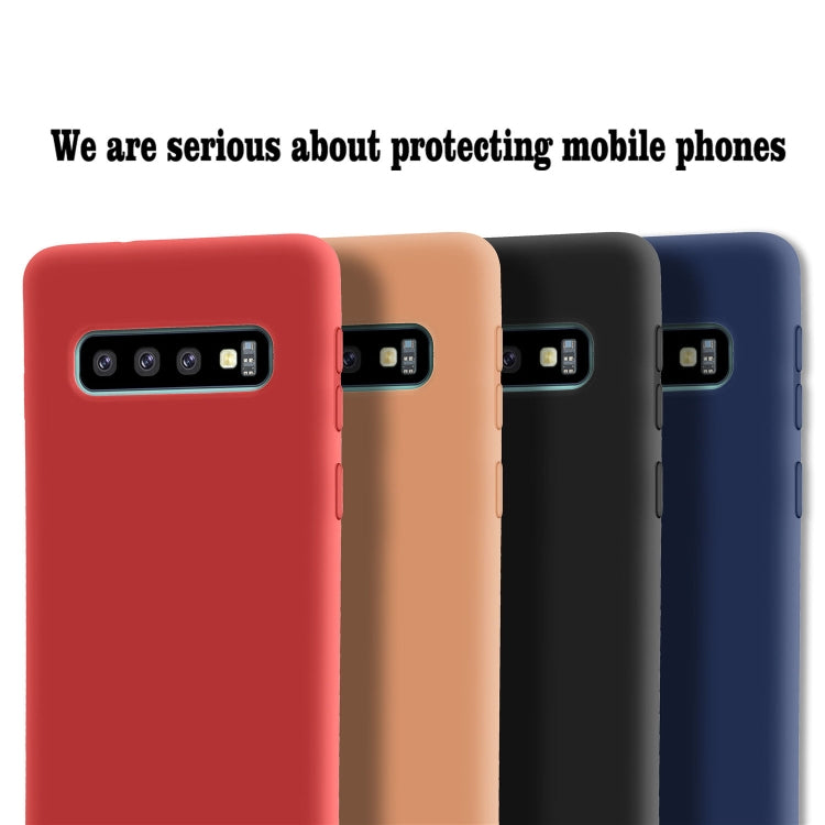 Custodia TPU morbido satinato per Samsung Galaxy S10+
