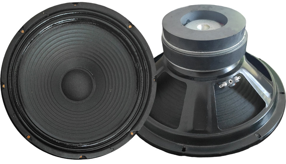 Woofer 10" 255mm 200W 4 Ohm doppio magnete