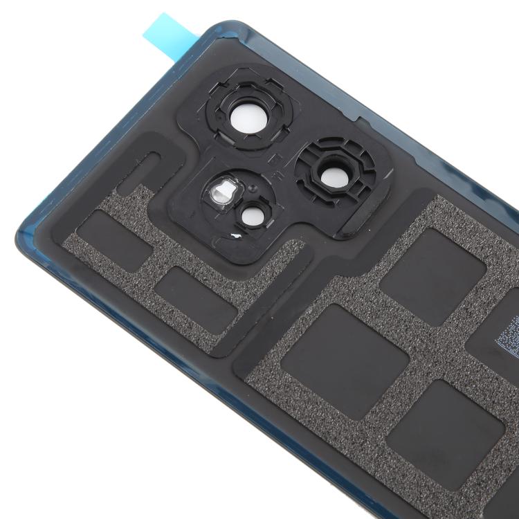 Cover posteriore originale globale per Realme GT 6 con copertura per obiettivo della fotocamera, For Realme GT 6(Original)