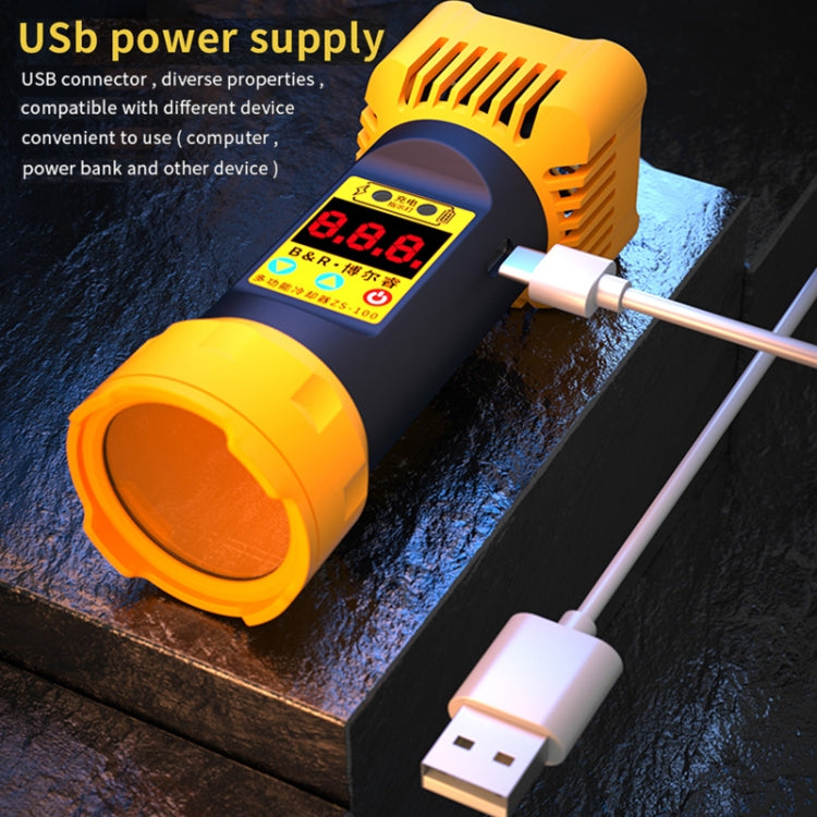 B&amp;R ZS-100 2 in 1 UV Curing Lamp + Cooling Fan Repair Tool, ZS-100