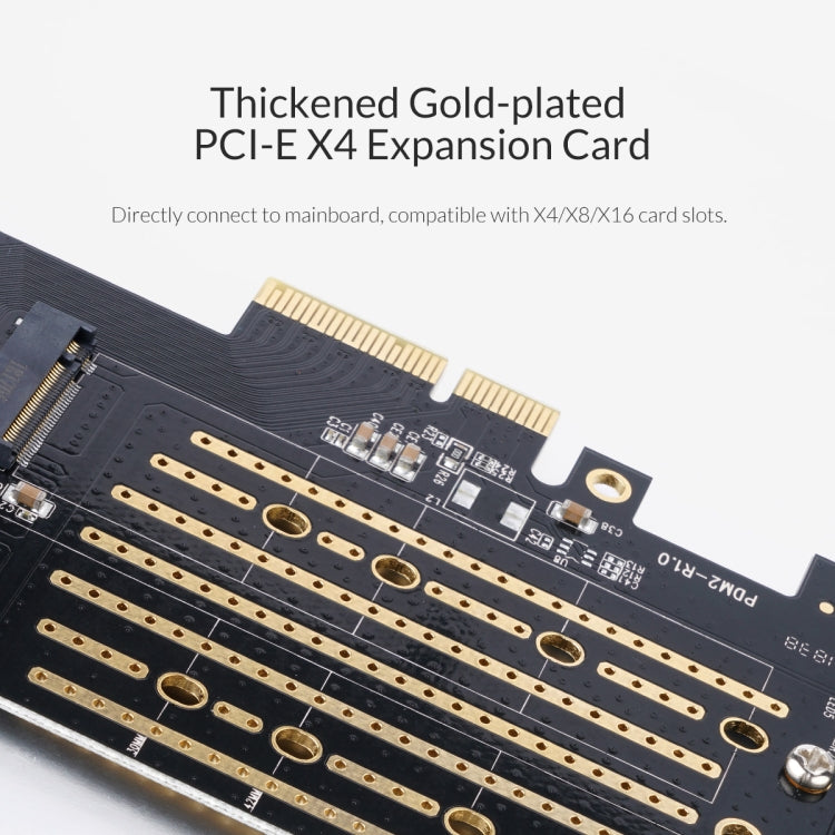 Scheda di espansione ORICO PDM2 M.2 NVME a PCI-E 3.0 X4