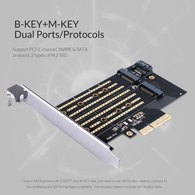 Scheda di espansione ORICO PDM2 M.2 NVME a PCI-E 3.0 X4