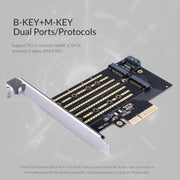 Scheda di espansione ORICO PDM2 M.2 NVME a PCI-E 3.0 X4