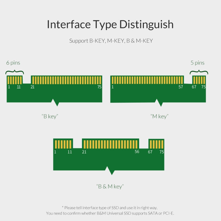 Scheda di espansione ORICO PDM2 M.2 NVME a PCI-E 3.0 X4