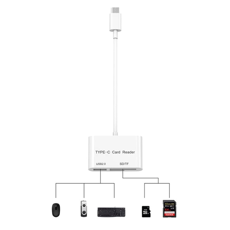 Lettore di schede da USB-C a USB SD/Micro SD