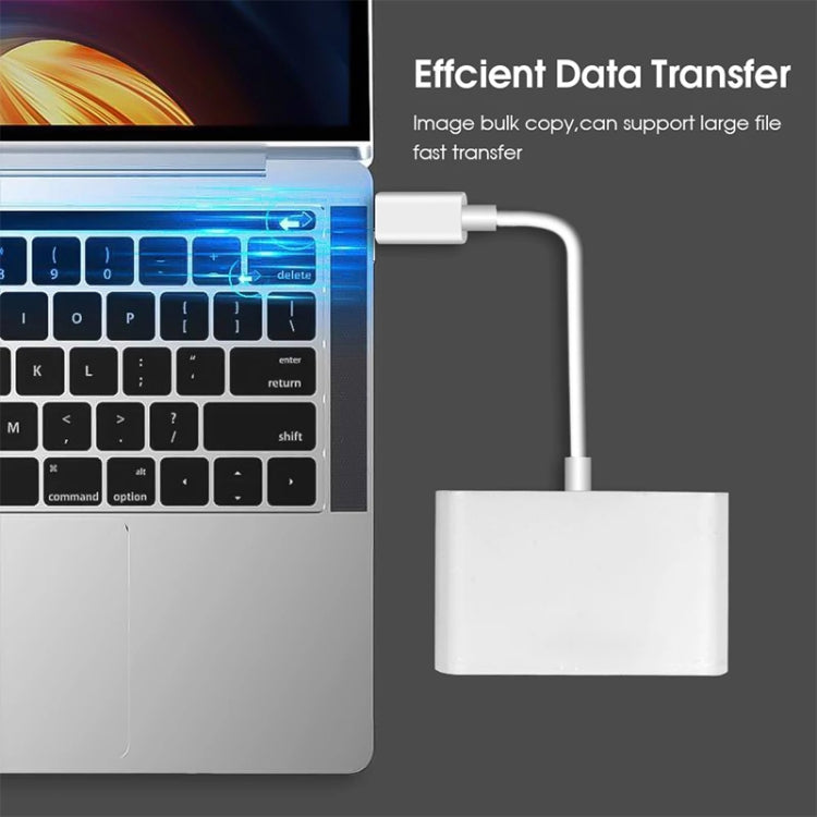 Lettore di schede da USB-C a USB SD/Micro SD