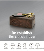 Altoparlante Bluetooth Retrò con FM T12 (Marrone)