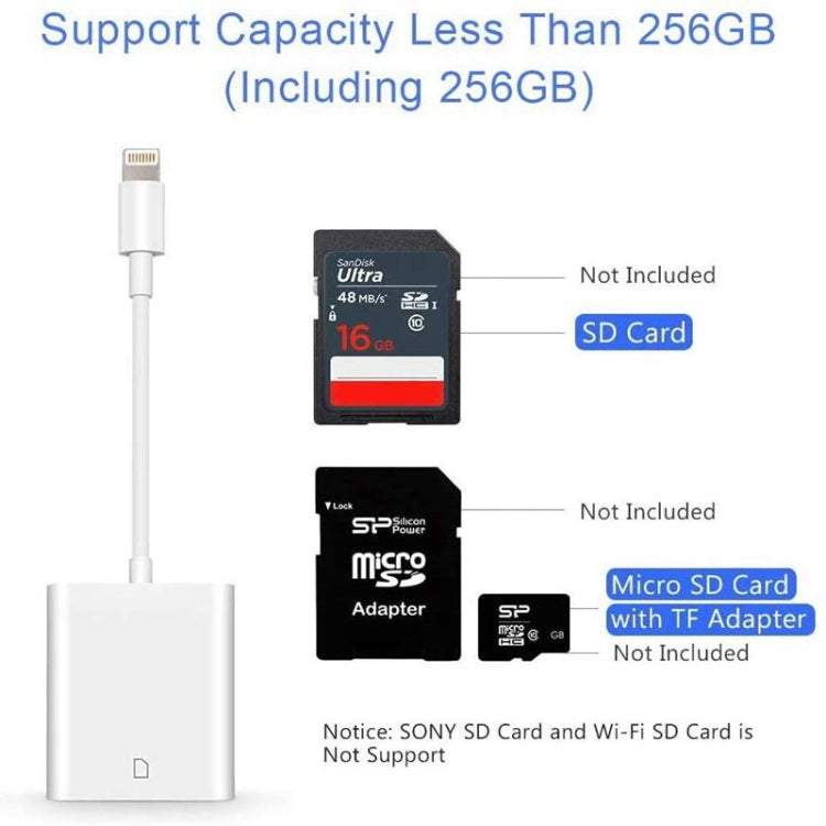 ZS-KL21810 Adattatore per lettore di schede per fotocamera da 8 pin a scheda SD, supporta tutti i sistemi iOS, SD Card Slot