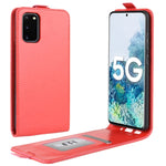 Per Samsung Galaxy S20 FE 4G / 5G R64 Texture Custodia protettiva in pelle a vibrazione verticale singola con slot per schede e cornice per foto, For Galaxy S20 FE