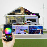 Set di kit di alimentazione per casa intelligente WIFI con striscia LED RGB 5M 5050 (non impermeabile)