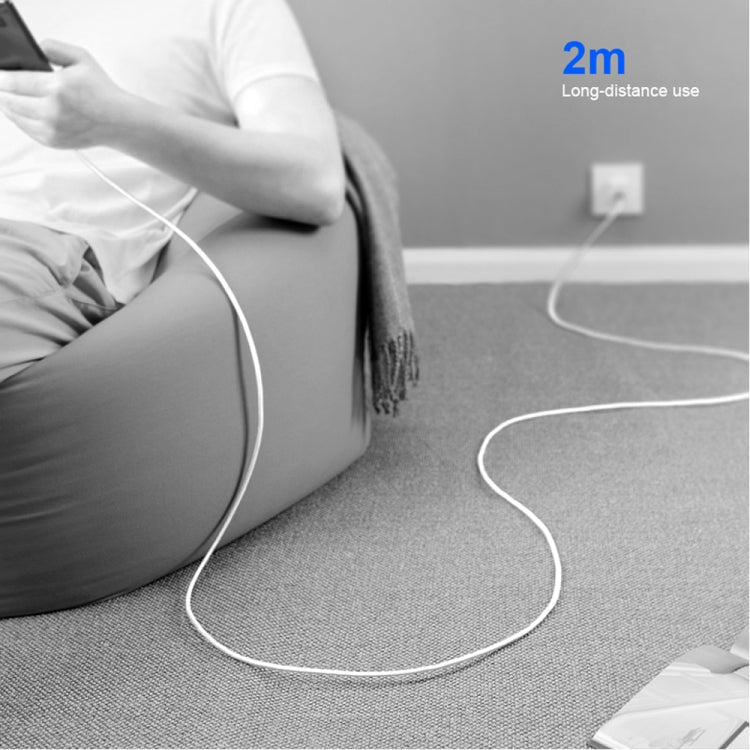 Caricabatterie da viaggio USB-C PD 20W con cavo 2 m