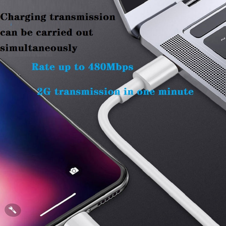 Caricatore da viaggio USB-C PD 20W con cavo dati 1m