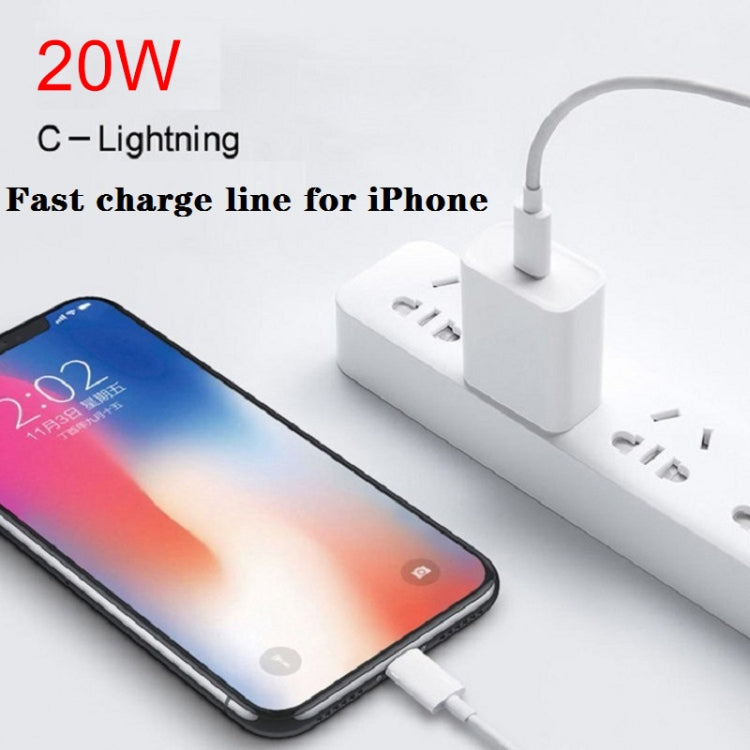 Caricatore da viaggio USB-C PD 20W con cavo dati 2 m