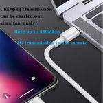 Caricatore da viaggio USB-C PD 20W con cavo dati 1 m
